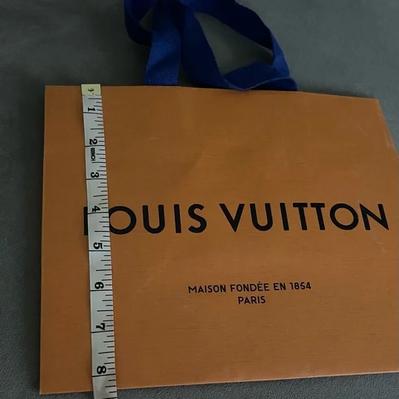 LOUIS VUITTON Empty Shopping Bag - Picture 4 of 7
